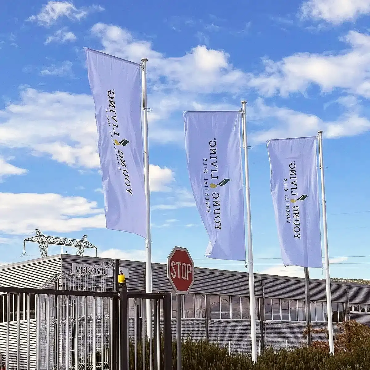 28. Young Living (Durmax)